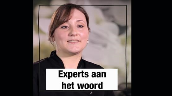Advies van onze experts