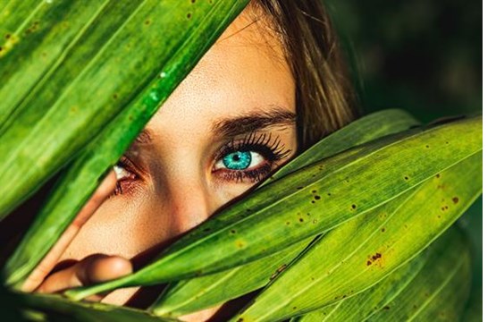 Nieuwe stijl Nederlandse Cosmetica Vereniging (NCV)