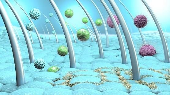 Workshop Een gezond huidmicrobioom; een gezonde huid - 22 juni 2023