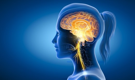 Workshop Nervus Vagus Massage - 25 september 2026